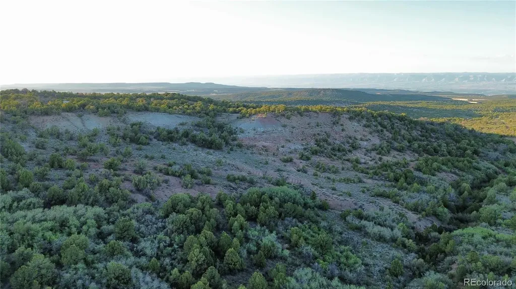 18975 Elk Reserve Road Glade Park CO 81523