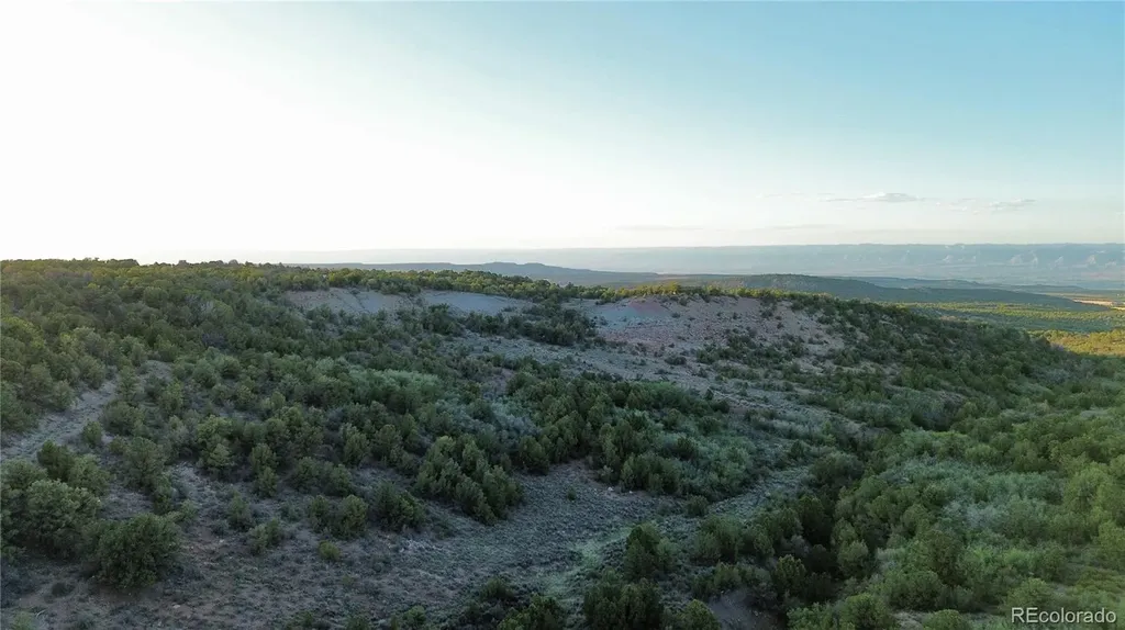 18975 Elk Reserve Road Glade Park CO 81523