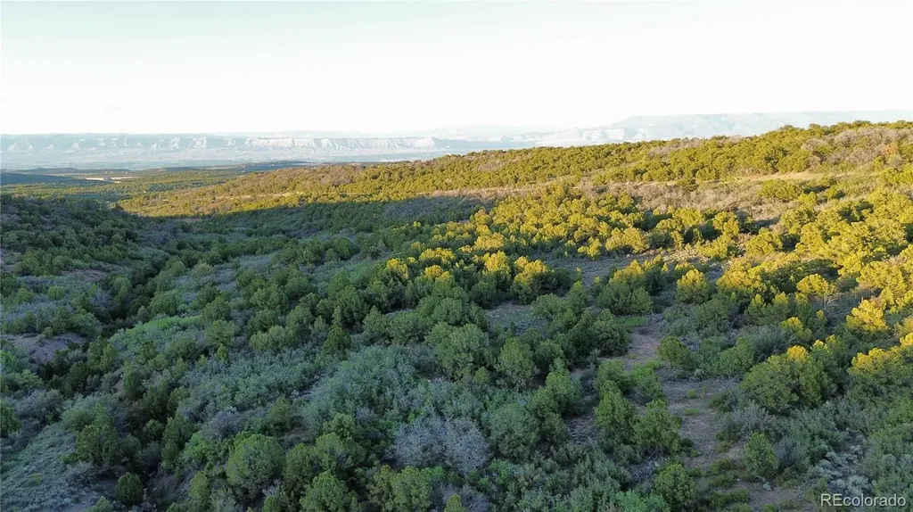 18975 Elk Reserve Road Glade Park CO 81523