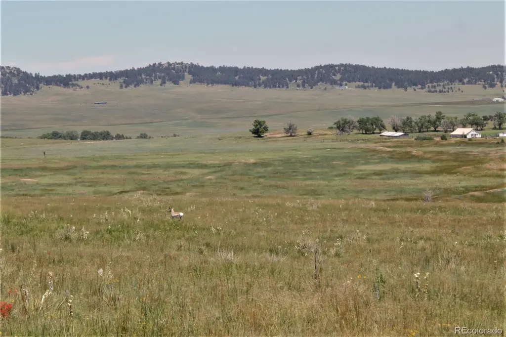 Tract 21 Mcclelland Road Calhan CO 80808