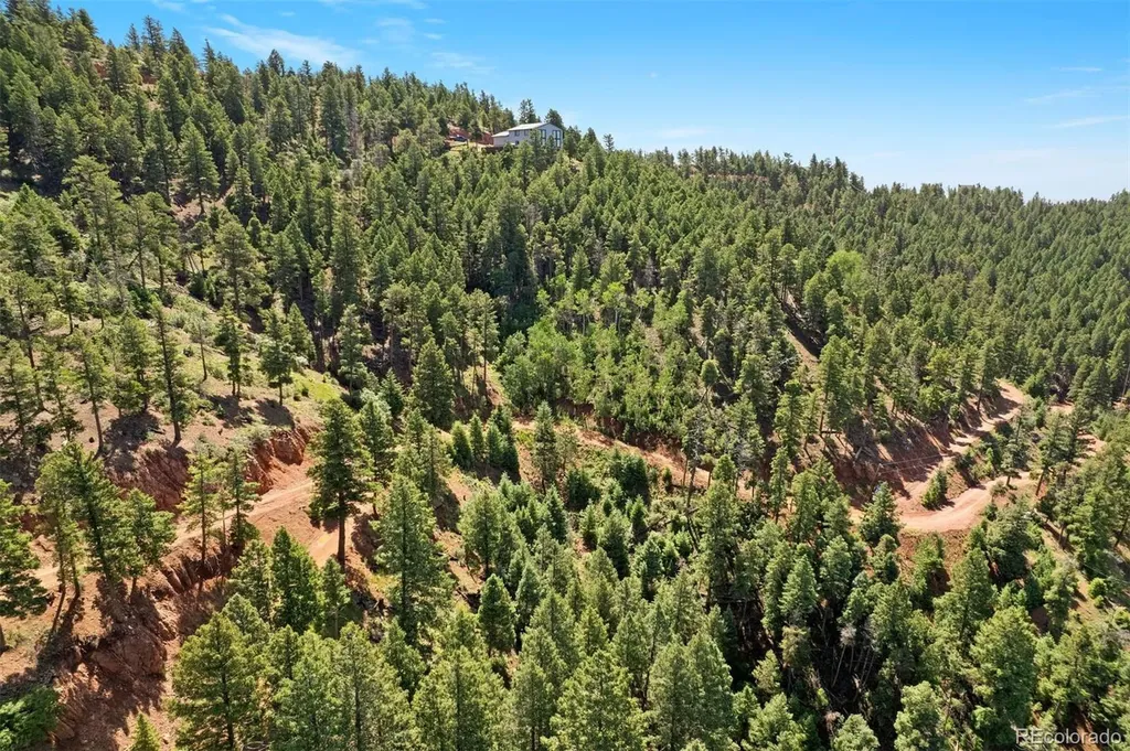 13294 N Firedog Way Larkspur CO 80118
