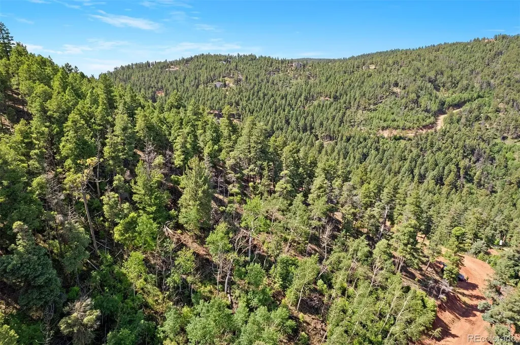 13294 N Firedog Way Larkspur CO 80118
