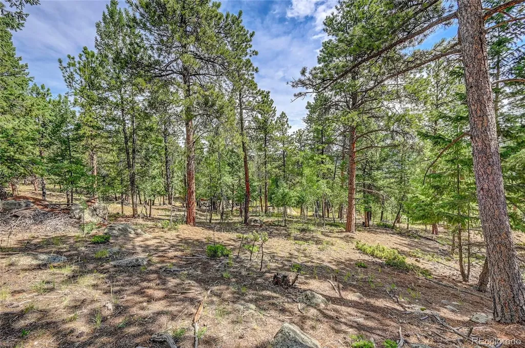 4501 County Road 72 Bailey CO 80421