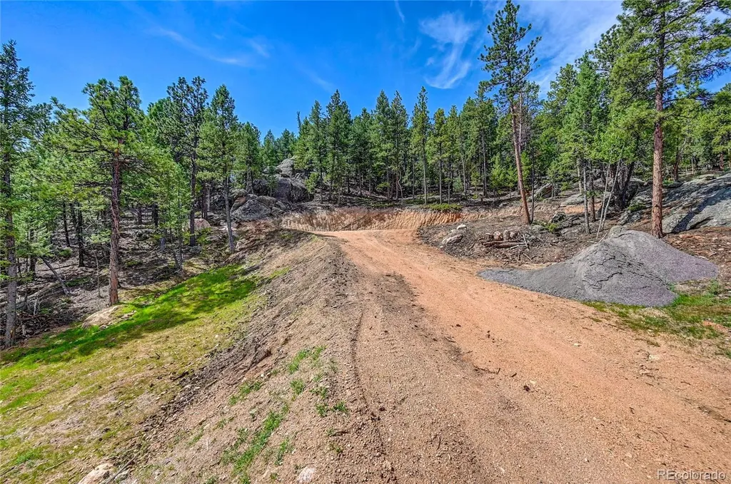 4501 County Road 72 Bailey CO 80421