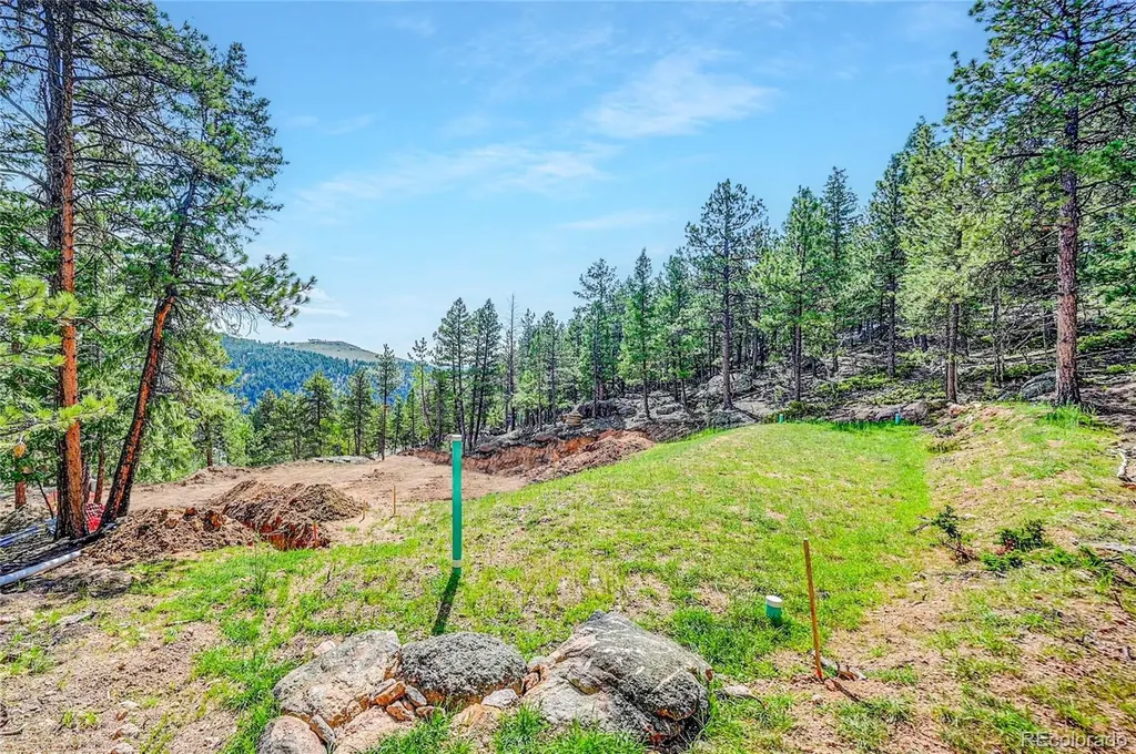 4501 County Road 72 Bailey CO 80421