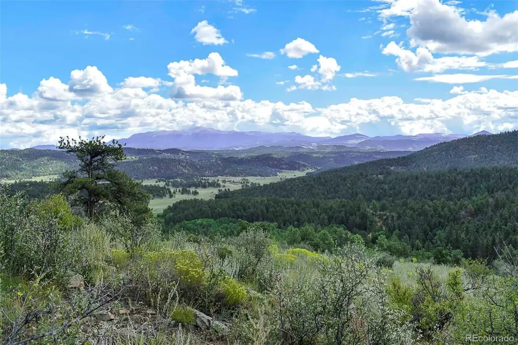 281 Deer Lane Guffey CO 80820