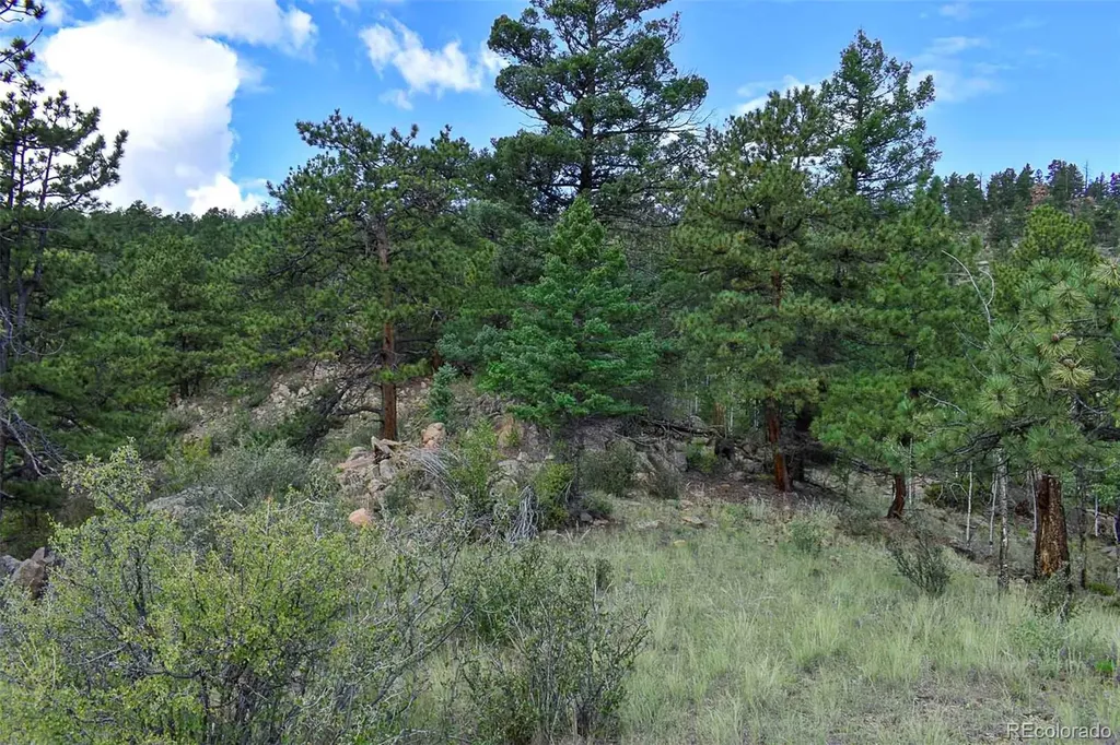 281 Deer Lane Guffey CO 80820