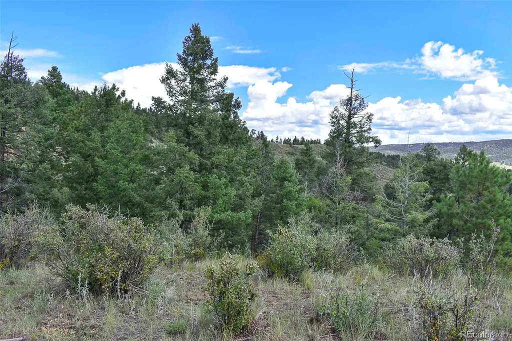 281 Deer Lane Guffey CO 80820