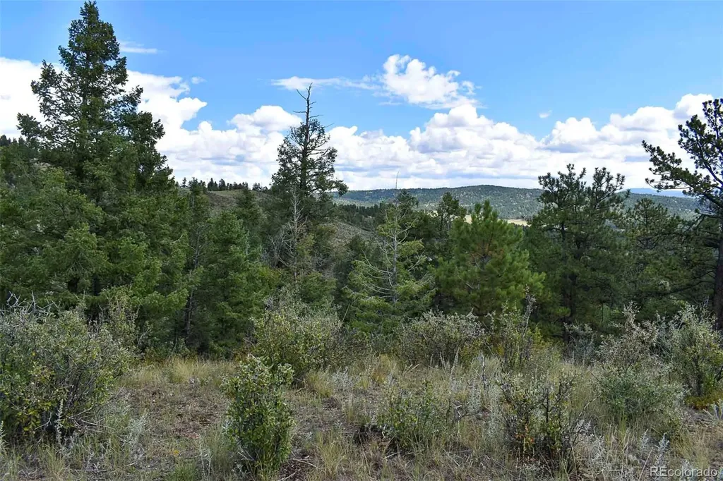 281 Deer Lane Guffey CO 80820