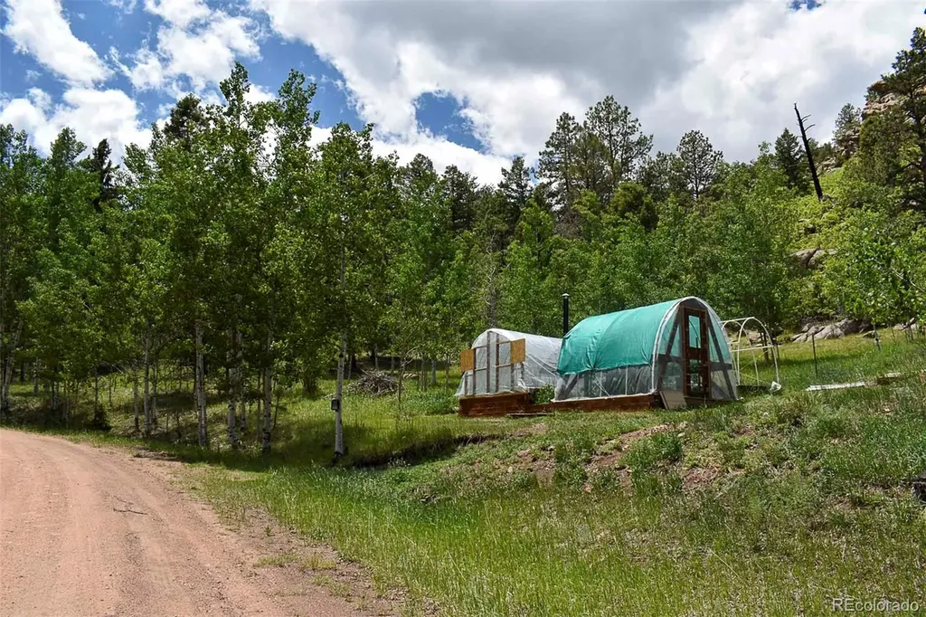 281 Deer Lane Guffey CO 80820