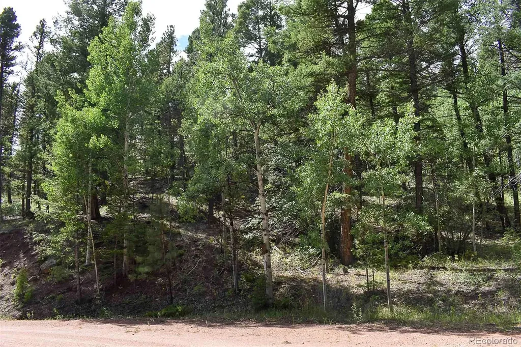 281 Deer Lane Guffey CO 80820