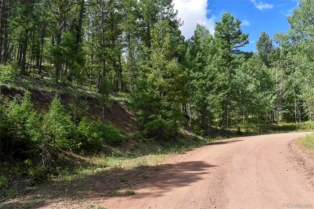 281 Deer Lane Guffey CO 80820