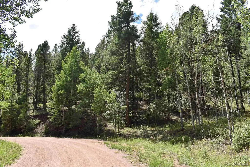 281 Deer Lane Guffey CO 80820