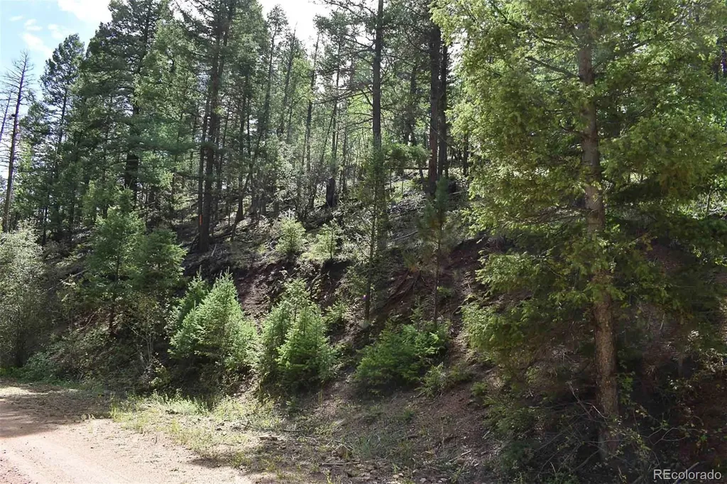 281 Deer Lane Guffey CO 80820