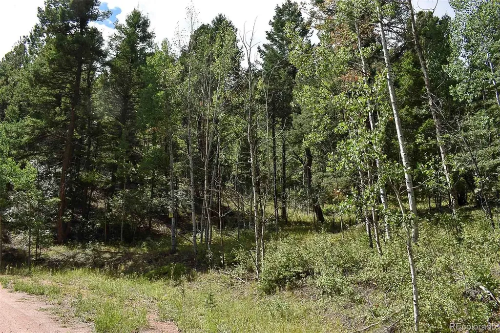 281 Deer Lane Guffey CO 80820