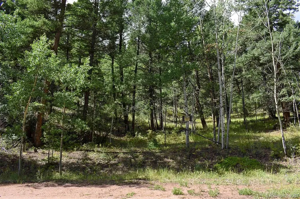 281 Deer Lane Guffey CO 80820