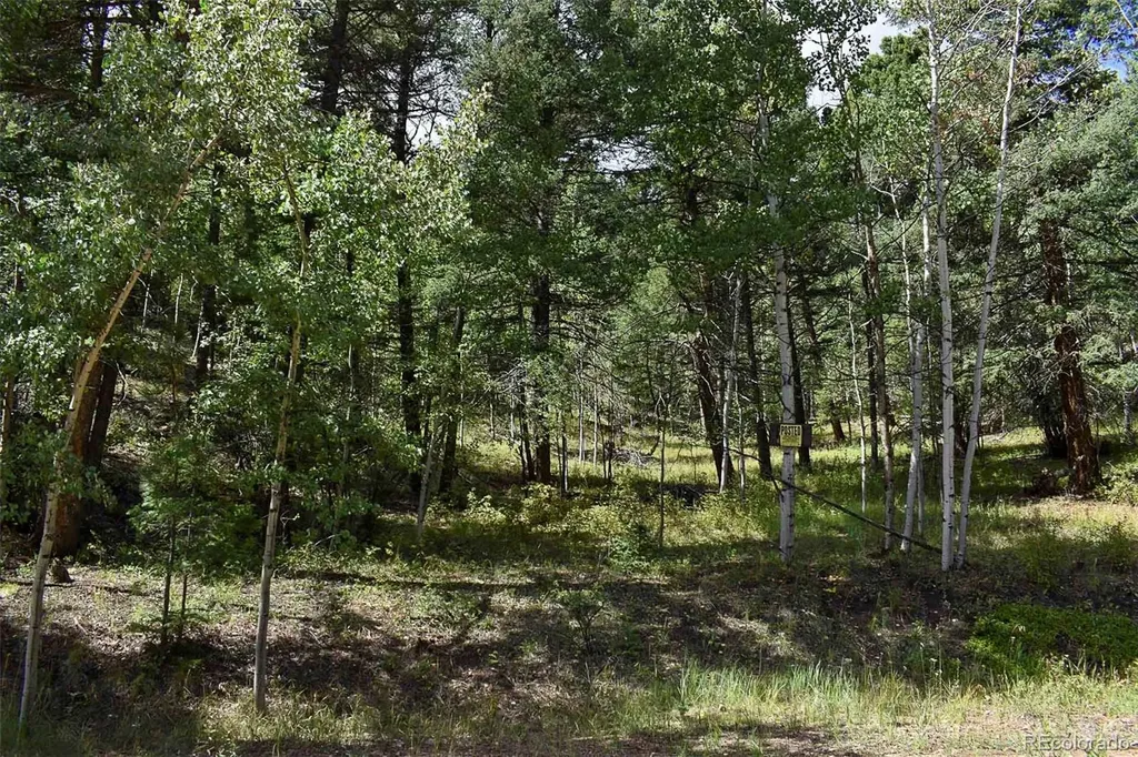 281 Deer Lane Guffey CO 80820