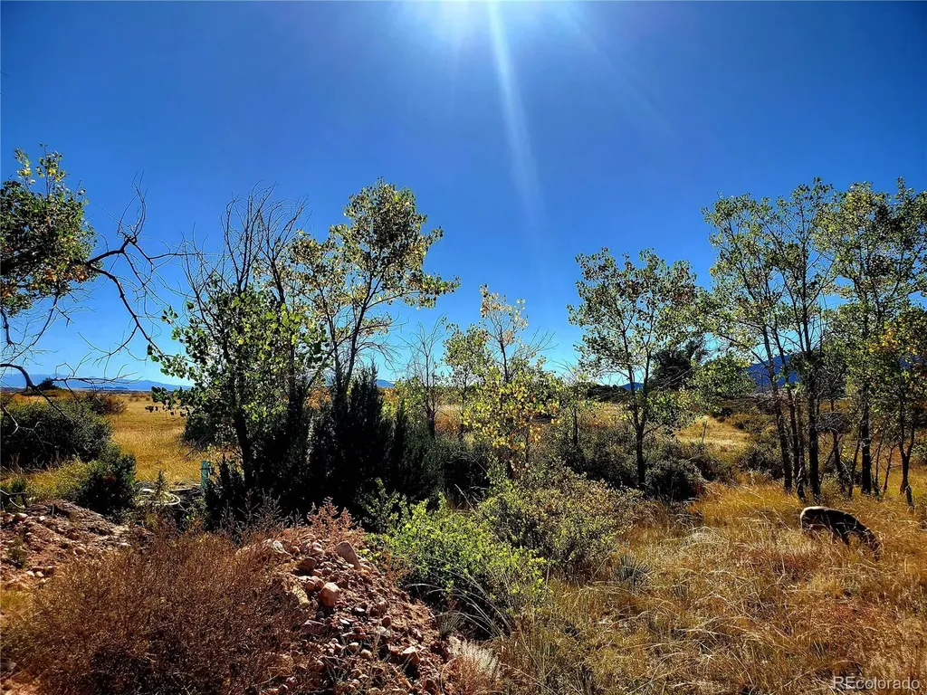 County Road 650 #3 Walsenburg CO 81089