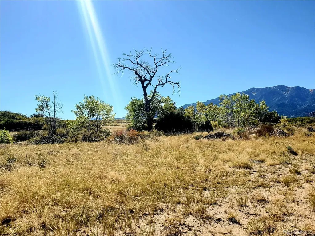 County Road 650 #3 Walsenburg CO 81089