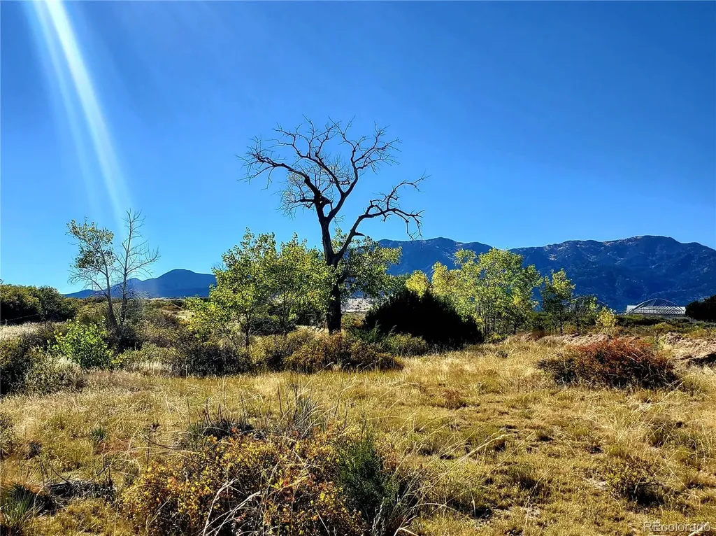 County Road 650 #3 Walsenburg CO 81089