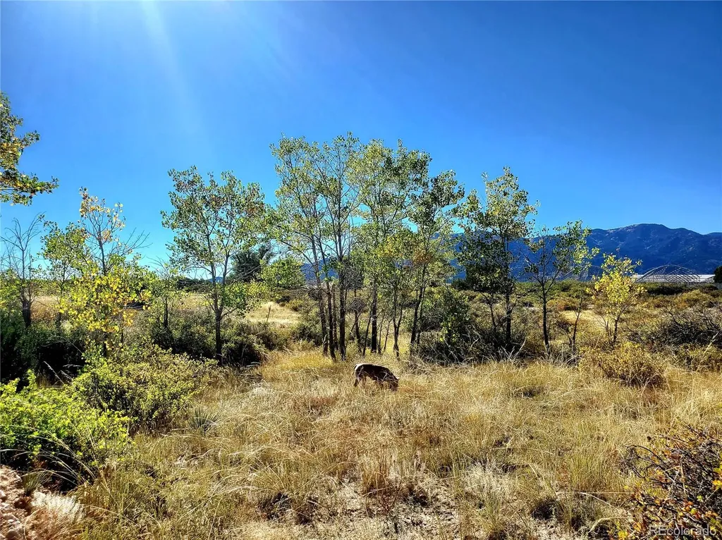 County Road 650 #3 Walsenburg CO 81089