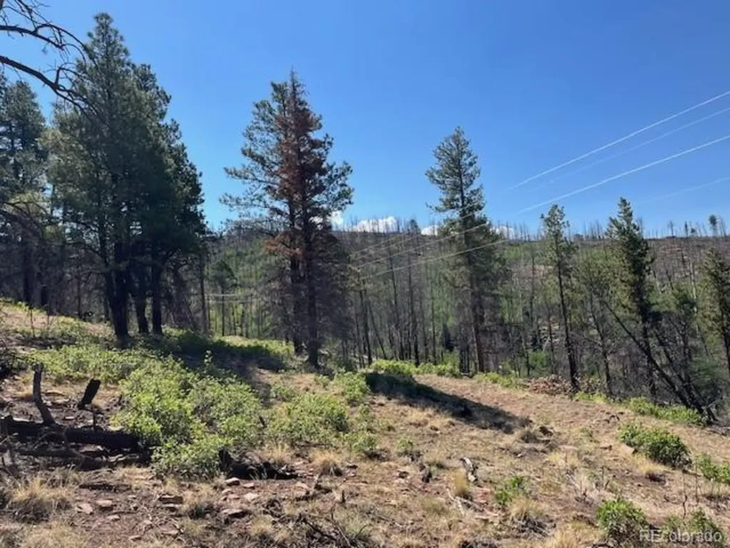 Lot 369-370 Powers Road Fort Garland CO 81133