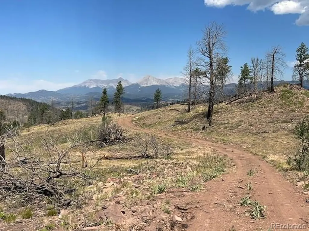 Lot 369-370 Powers Road Fort Garland CO 81133