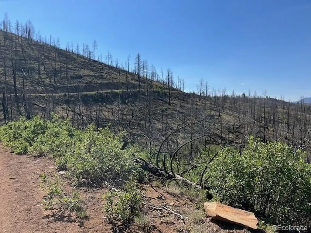 Lot 369-370 Powers Road Fort Garland CO 81133