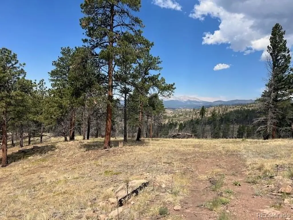 Lot 369-370 Powers Road Fort Garland CO 81133