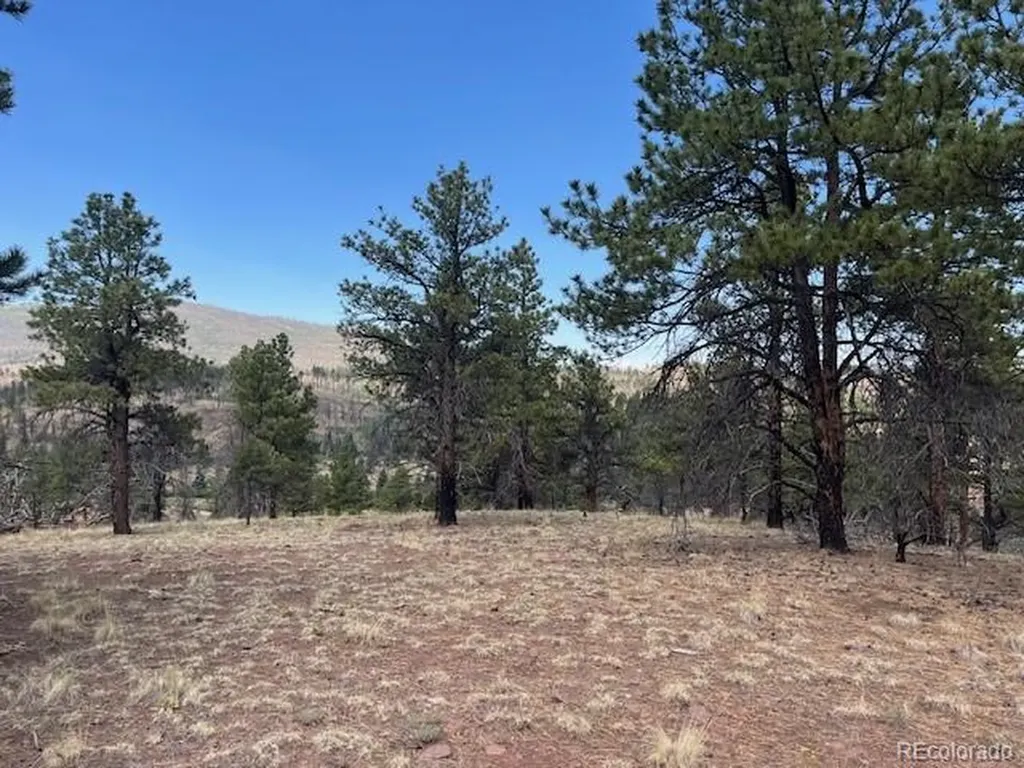 Lot 369-370 Powers Road Fort Garland CO 81133