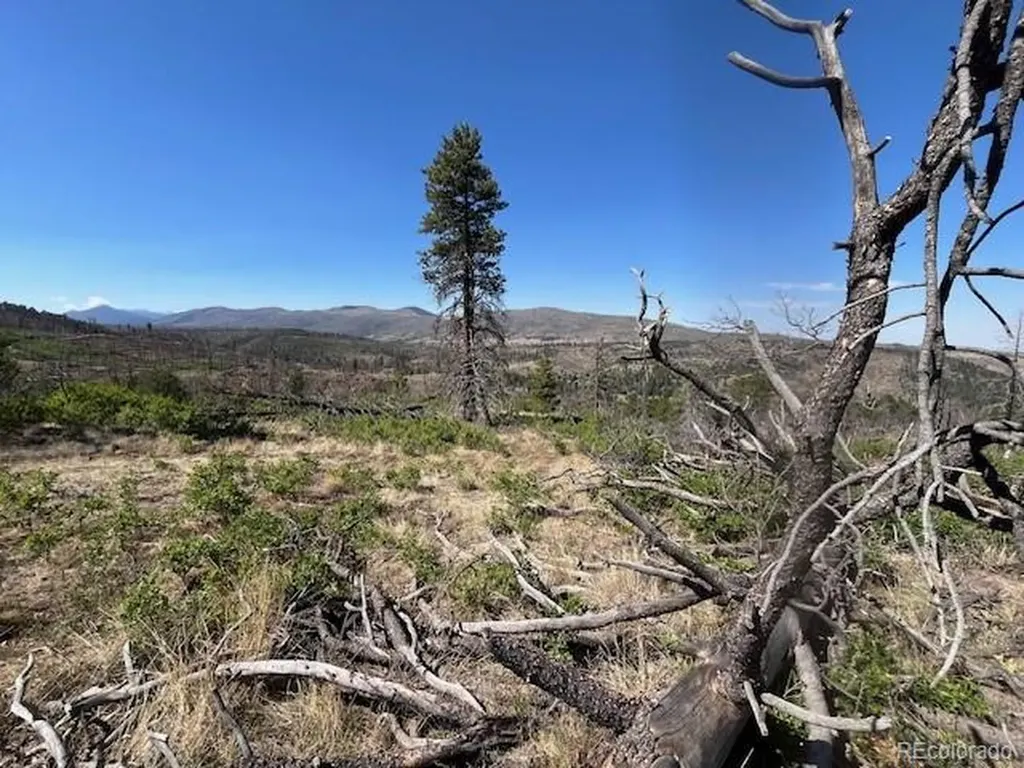 Lot 369-370 Powers Road Fort Garland CO 81133