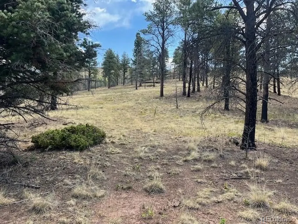 Lot 369-370 Powers Road Fort Garland CO 81133