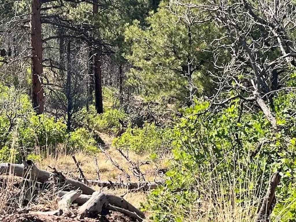 Lot 369-370 Powers Road Fort Garland CO 81133