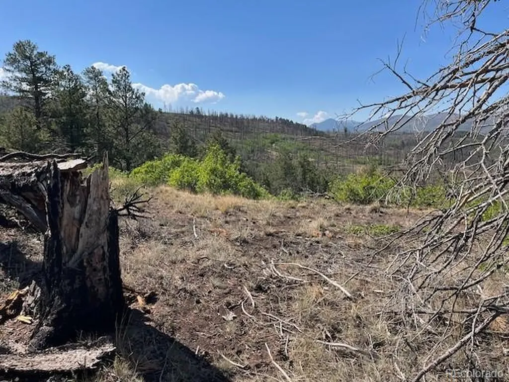 Lot 369-370 Powers Road Fort Garland CO 81133