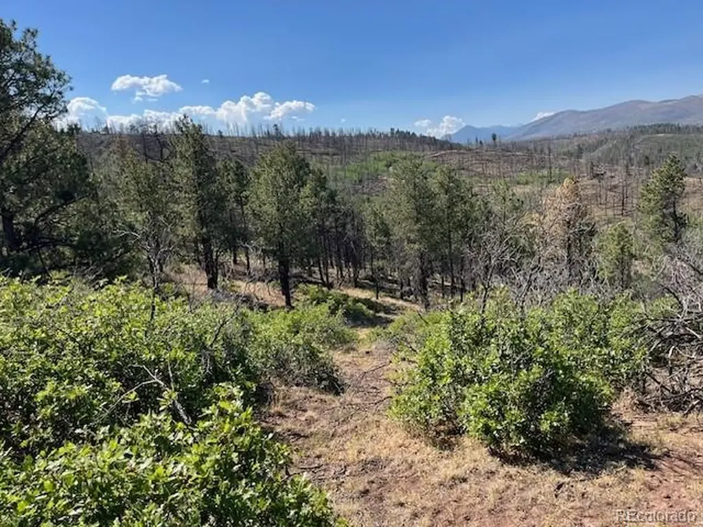 Lot 369-370 Powers Road Fort Garland CO 81133