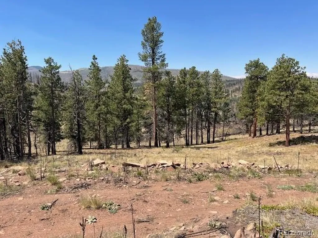 Lot 369-370 Powers Road Fort Garland CO 81133
