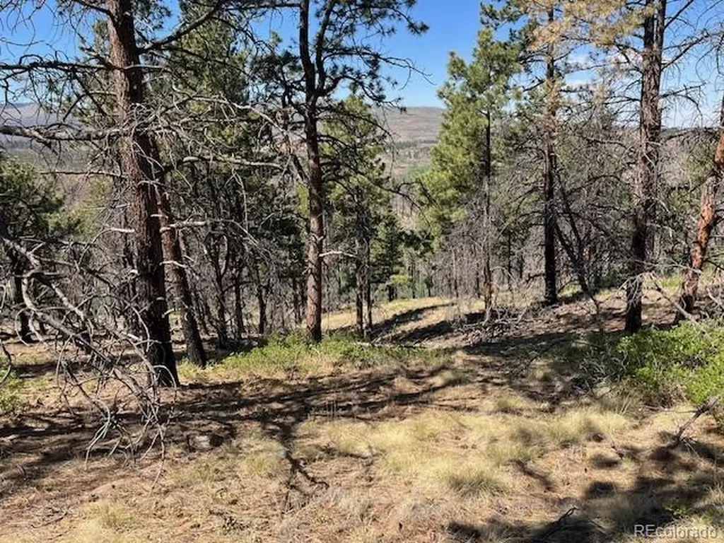 Lot 369-370 Powers Road Fort Garland CO 81133