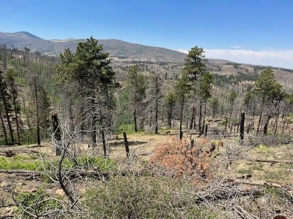 Lot 369-370 Powers Road Fort Garland CO 81133