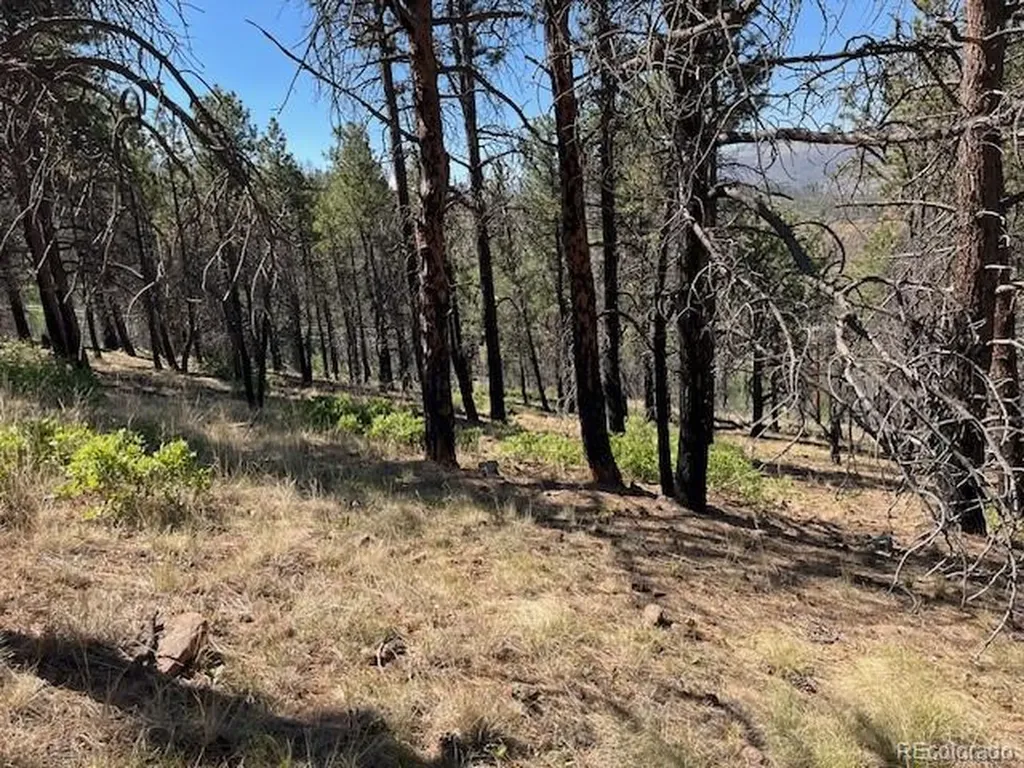 Lot 369-370 Powers Road Fort Garland CO 81133