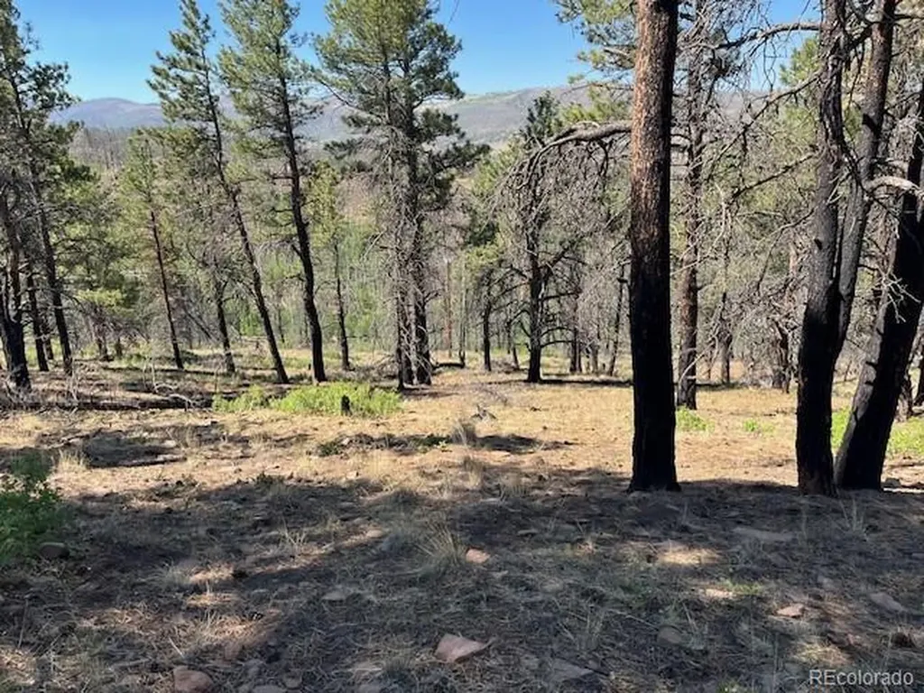Lot 369-370 Powers Road Fort Garland CO 81133