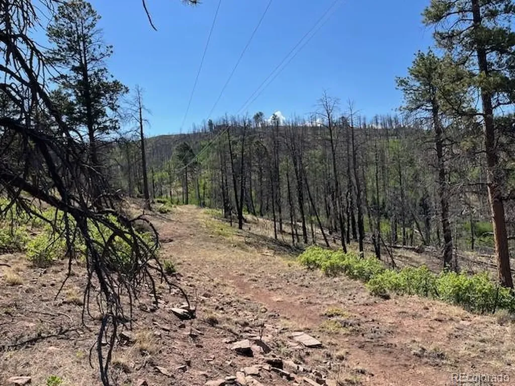 Lot 369-370 Powers Road Fort Garland CO 81133