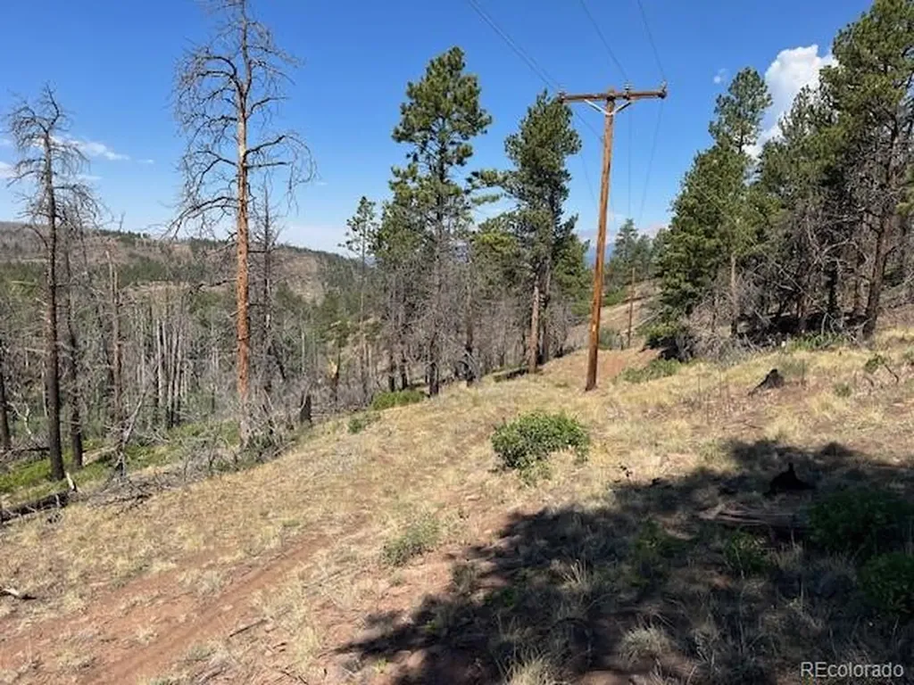 Lot 369-370 Powers Road Fort Garland CO 81133