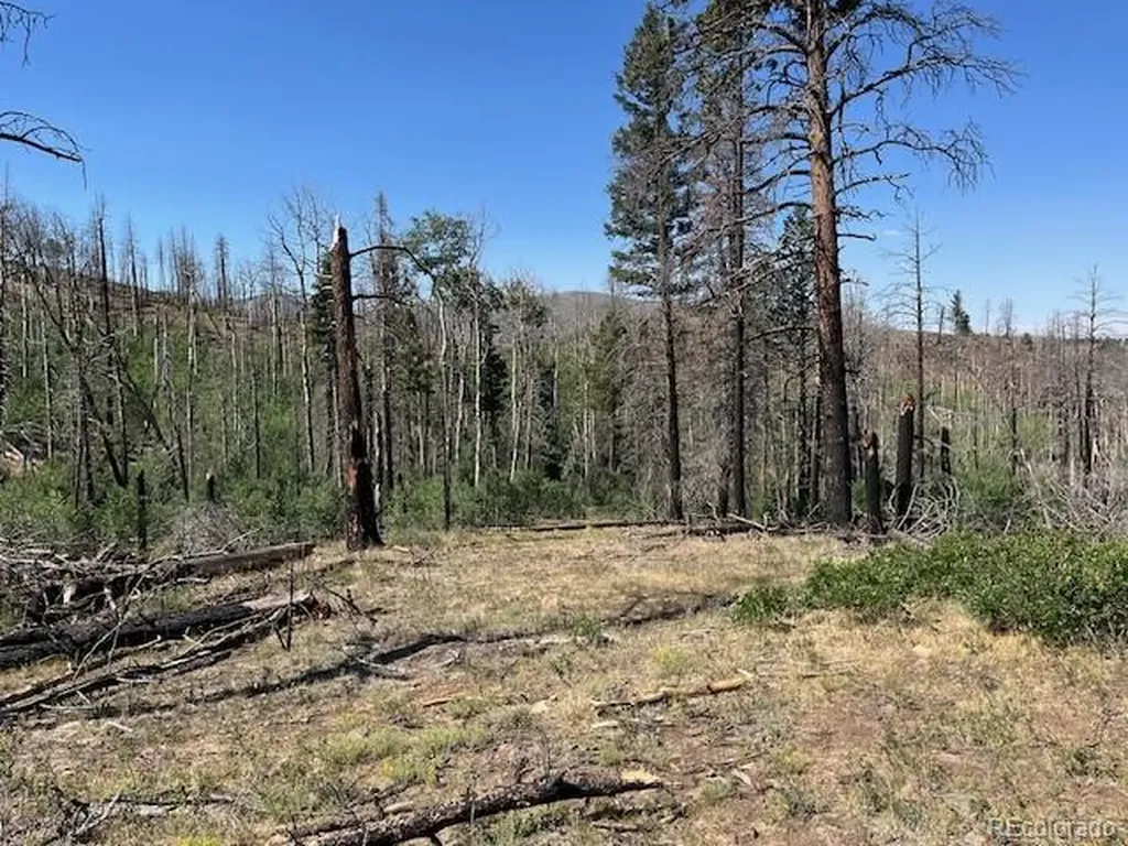 Lot 369-370 Powers Road Fort Garland CO 81133