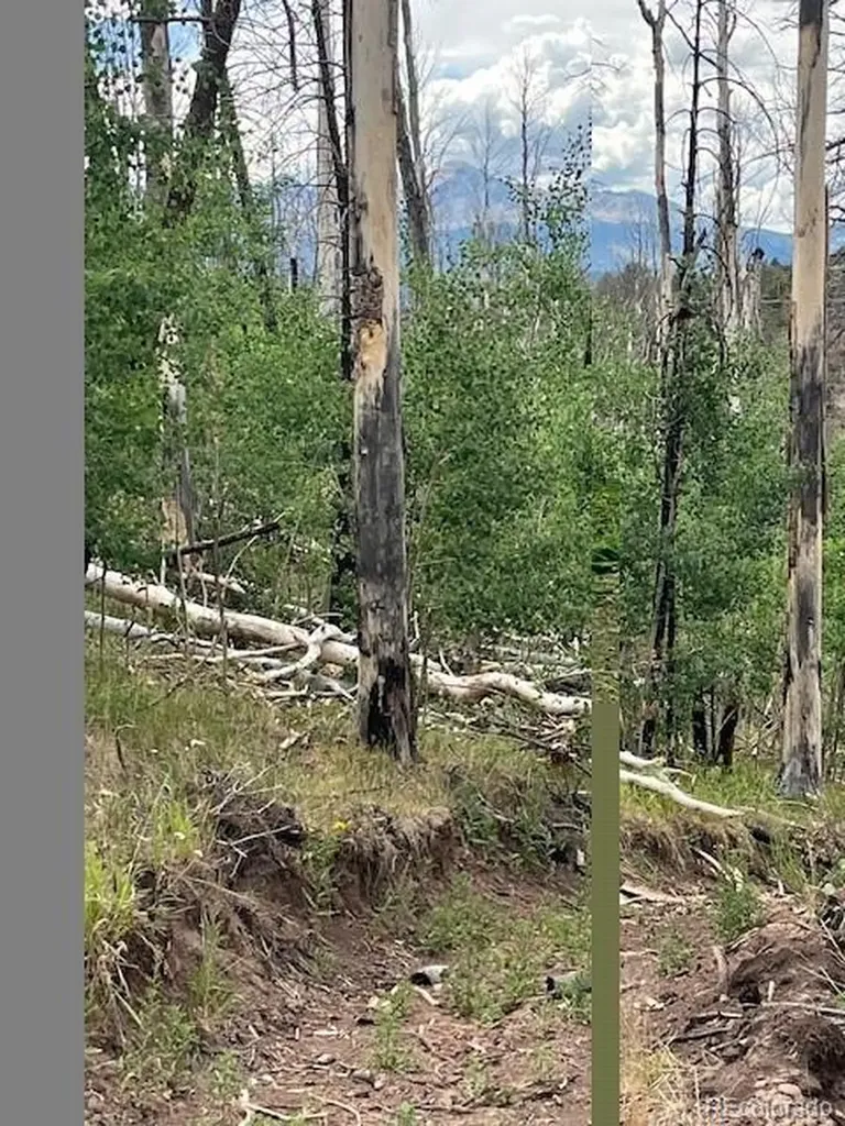 Lot 369-370 Powers Road Fort Garland CO 81133