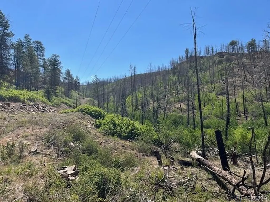 Lot 369-370 Powers Road Fort Garland CO 81133