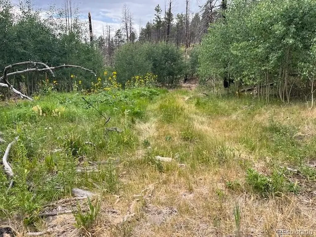 Lot 369-370 Powers Road Fort Garland CO 81133