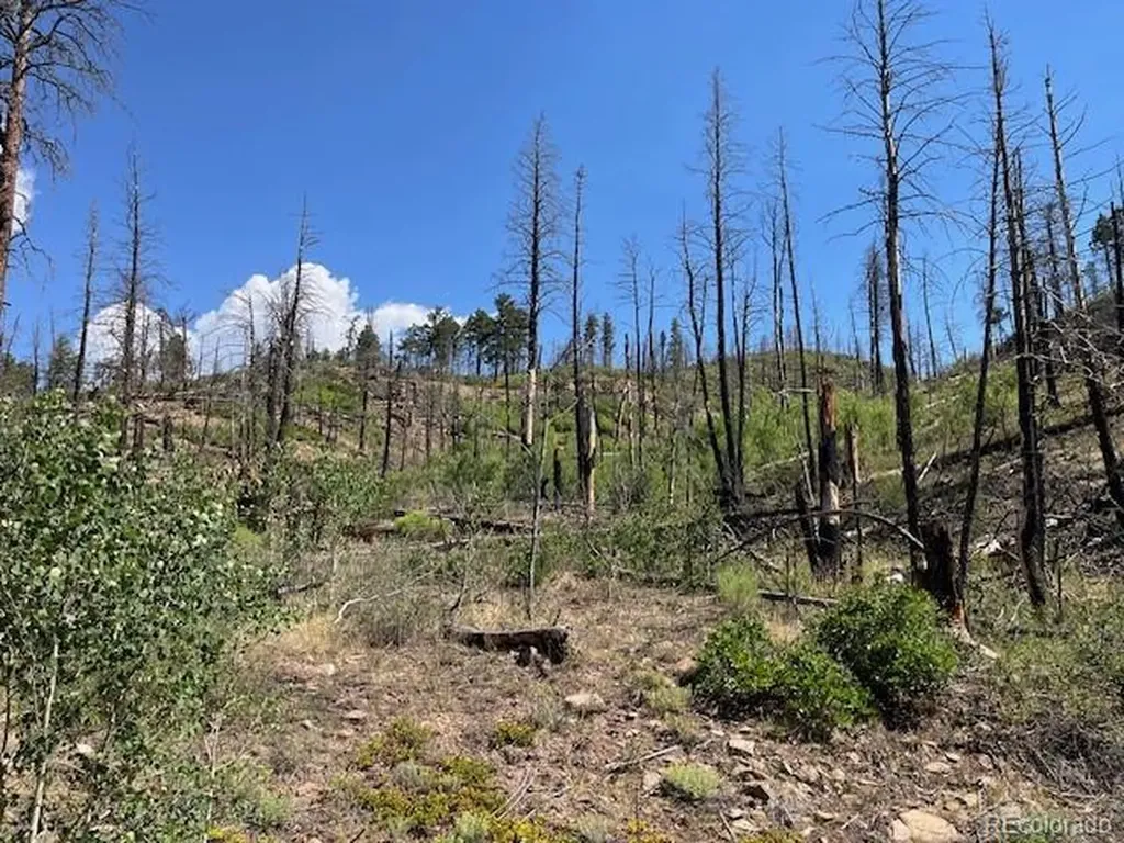 Lot 369-370 Powers Road Fort Garland CO 81133