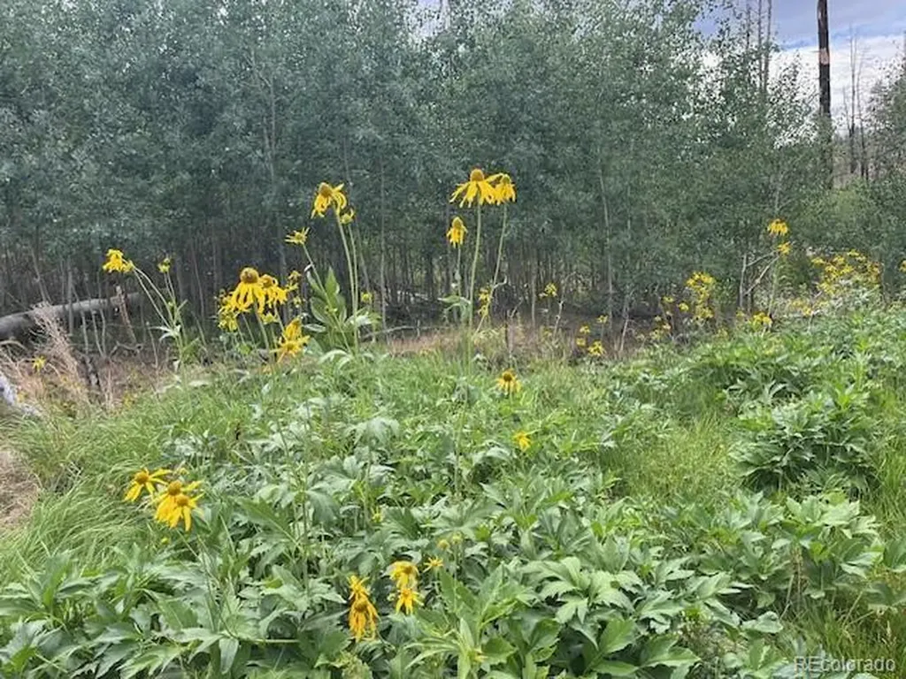 Lot 369-370 Powers Road Fort Garland CO 81133