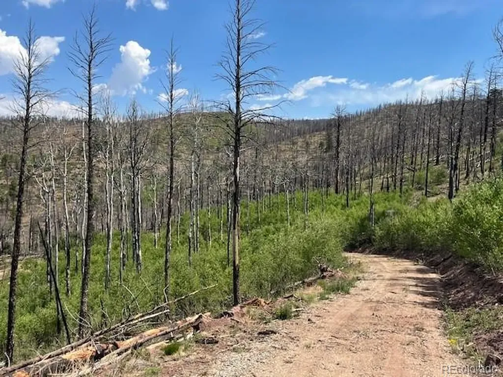 Lot 369-370 Powers Road Fort Garland CO 81133