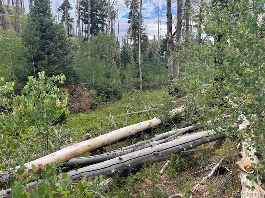 Lot 369-370 Powers Road Fort Garland CO 81133